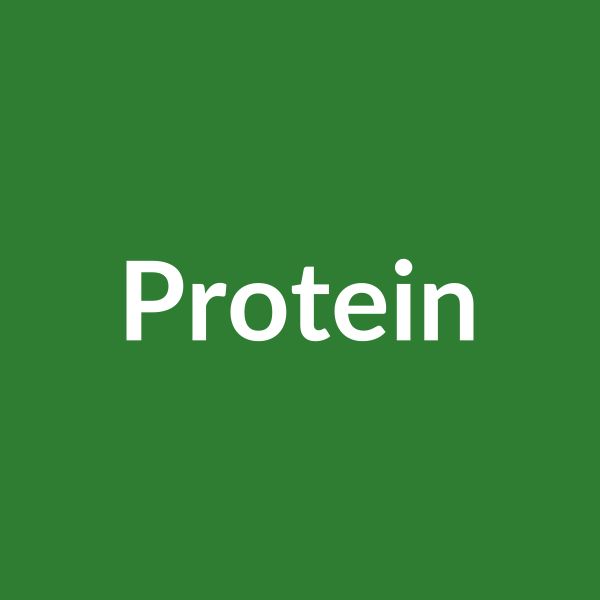 NOW Foods Whey Protein 900г Шоколад